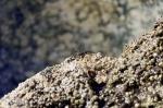 ElHierro_20110502_182352_DxO