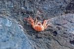 ElHierro_20110506_182056_DxO