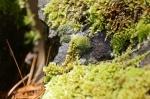 ElHierro_20110512_130728_DxO