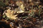 Herbst Winter 2001 004