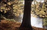 Herbst Winter 2001 018