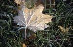 Herbst Winter 2001 052