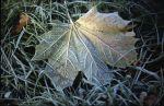 Herbst Winter 2001 064