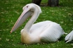 Luisenpark 2024 06 23 15 32 51