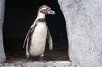 Luisenpark 2024 06 23 16 26 57