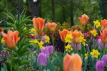 Luisenpark 2025 04 13 18 31 32