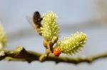 Frühling 20140312 140119