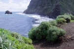 Madeira 2025 03 05 12 35 22