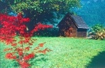 Oesterreich 1999 046 DxO