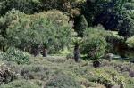 Suedafrika 2017 11 22 07 41 11 DxO