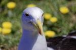 Suedafrika 2017 11 27 11 24 05 DxO