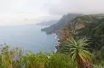 Madeira 2024 02 12 18 17 49